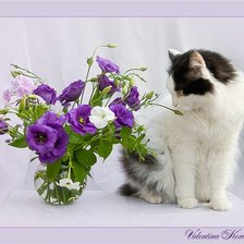 Схема вышивки «Котик с цветами»