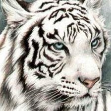 Оригинал схемы вышивки «белый тигр» (№192608)