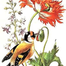 Оригинал схемы вышивки «Птичка и цветок» (№193254)