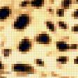 Предпросмотр схемы вышивки «Ягуар» (№198702)