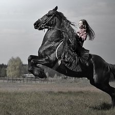 Схема вышивки «девочка на коне»