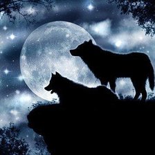 волки луна ночь