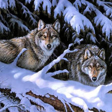 Оригинал схемы вышивки «Волки в зимнем лесу» (№203039)