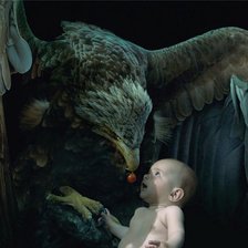 орел и ребенок
