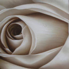 Схема вышивки «Триптих ''роза''  (общий вид)»