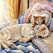 Схема вышивки «кот и пес на постели»