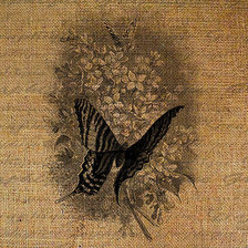 Оригинал схемы вышивки «бабочки» (№213009)