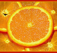 Схема вышивки «апельсиновое безумие»