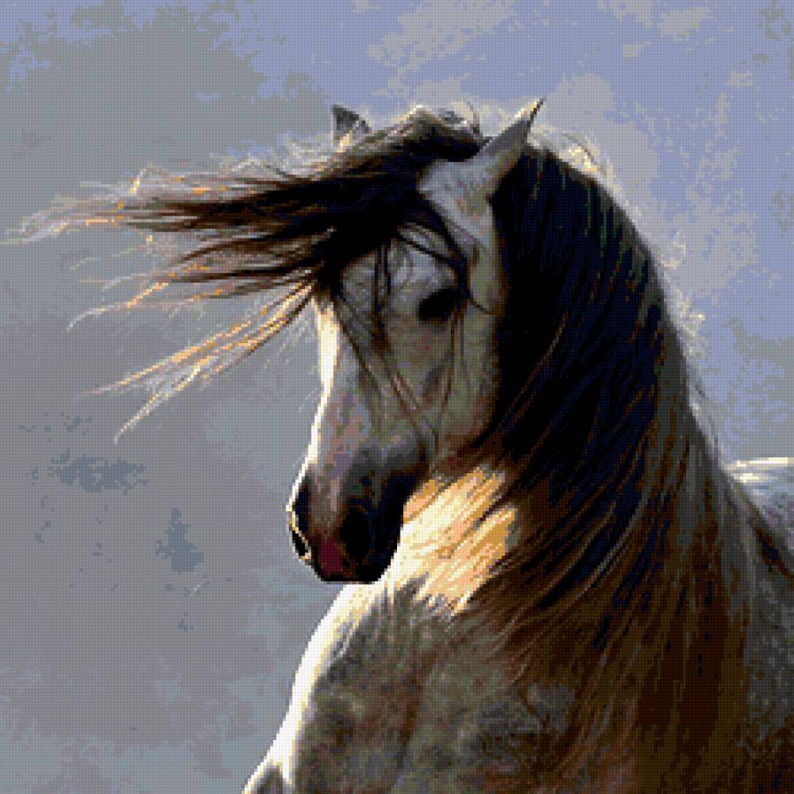 Белая лошадь - животные, лошадь - предпросмотр