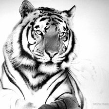 Оригинал схемы вышивки «Белый тигр» (№215967)