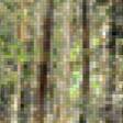 Предпросмотр схемы вышивки «в лесной глуши» (№216054)