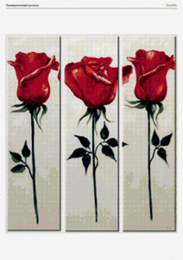 РОЗЫ - цветы, триптих, красные розы - предпросмотр