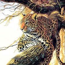 Подушка Дикая кошка (леопард)