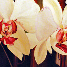 Схема вышивки «орхидеи  (общий вид)»