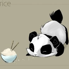 Панда и рис