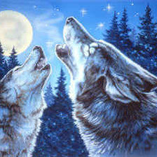 Схема вышивки «Лунные волки»