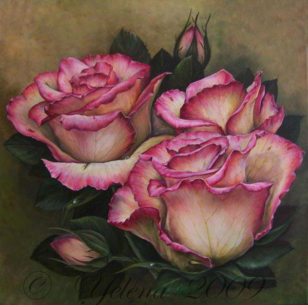 розы - розовые цветы, роза, натюрморт, розы, букет, цветы, романтика - оригинал