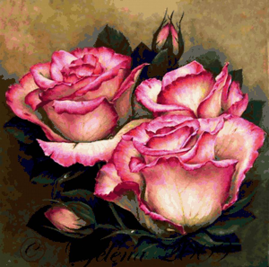 розы - розовые цветы, натюрморт, романтика, букет, розы, цветы, роза - предпросмотр