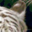Предпросмотр схемы вышивки «тигры» (№229867)