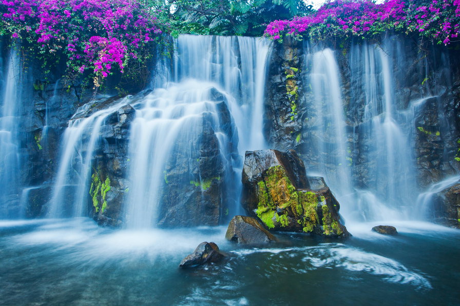 Водопад - вода, водопад, цветы, камент - оригинал