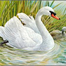 Оригинал схемы вышивки «Белый лебедь» (№232079)