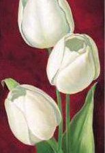 Оригинал схемы вышивки «Белые тюльпаны ч.1» (№232891)