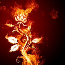 Оригинал схемы вышивки «огненый цветок» (№233265)