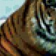 Предпросмотр схемы вышивки «тигр у воды» (№234247)