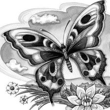 Оригинал схемы вышивки «Цветы и бабочки» (№234489)