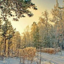 Схема вышивки «зимний лес в Сибири»