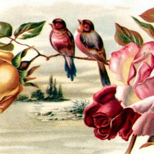 цветы и птицы