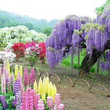 Схема вышивки «Цветущие сады Японии»