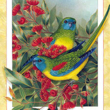Оригинал схемы вышивки «Птички» (№241038)