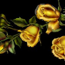 Оригинал схемы вышивки «Желтые розы» (№243735)