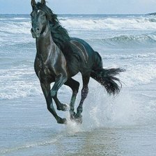 Схема вышивки «конь бегущий по волнам»