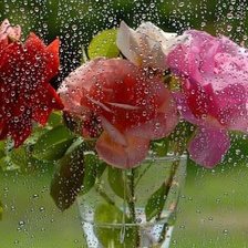 Схема вышивки «Розы под дождем»