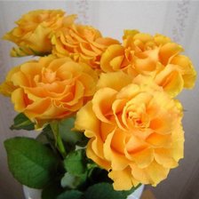 Оригинал схемы вышивки «Желтые розы» (№244604)