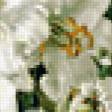Предпросмотр схемы вышивки «Белые ирисы Сесил Кеннеди» (№244836)