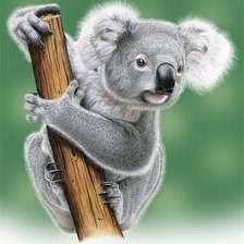 Схема вышивки «коала»