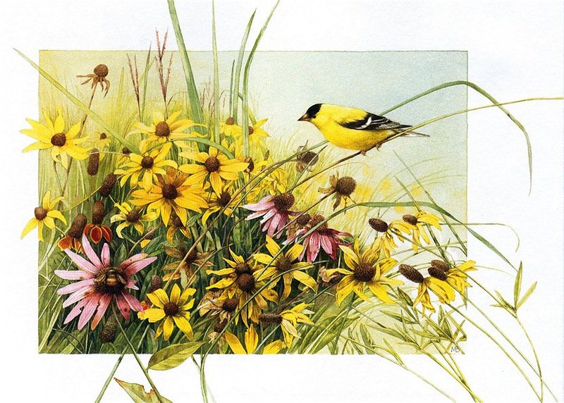 Серия Птицы - птичка, цветы, поле - оригинал