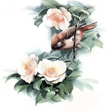 Схема вышивки «Птица и цветы»