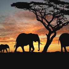 Схема вышивки «семья слонов»