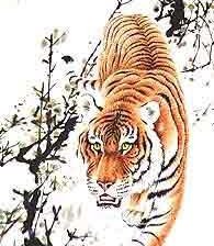 Схема вышивки «крадущийся тигр»