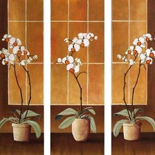 Схема вышивки «триптих орхидеи»