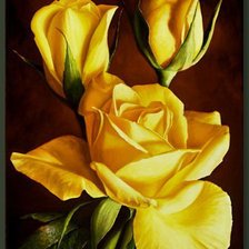 Оригинал схемы вышивки «Жёлтые розы» (№257283)