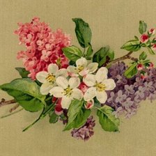 Схема вышивки «цветы весны»