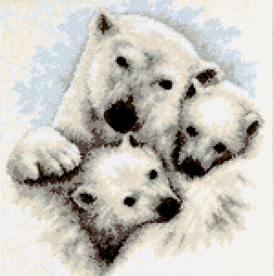 белые медведи - нежность, медведи - предпросмотр