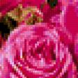 Предпросмотр схемы вышивки «Корзина с розами» (№261858)