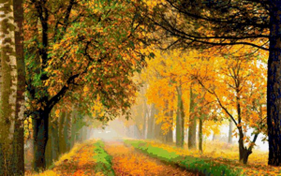 И настала осень - листья, пейзаж, природа, осень, деревя - предпросмотр