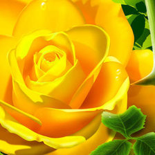 Оригинал схемы вышивки «желтая роза» (№263483)